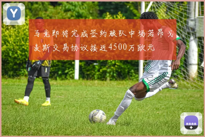 马竞即将完成签约狼队中场若昂戈麦斯交易协议接近4500万欧元